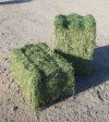 QUALITY GREEN ALFALFA HAY FOR OUR RACING HORSES..HOT SALES!!