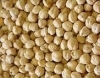 Kabuli Chick Peas For Sale