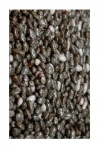 100-Natural-Black-Chia-Seeds-for-sale