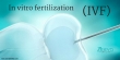 Best Doctor for IVF Infertility Treatment in Delhi