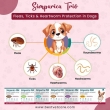Simparica-Trio-for-Dogs-–-Save-Big-on-3-in-1-Protection-