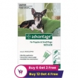 Advantage-for-Dogs-–-Flea-and-Tick-Protection