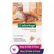Buy-Advantage-for-Cats--Flea-Protection-with-Great-Discounts-