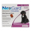 Nexgard-Chewables-for-Large-Dogs-Purple--Effective-Flea-Tick-Protection
