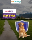 Bravecto Chews for Dogs: The Ultimate Solution for Flea  Tick Protection - PetCareClub