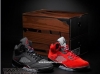 2-pair-of-jordan-in-one-case