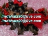 Nice Charming Male and Femal Teacup Yorkie Puppies